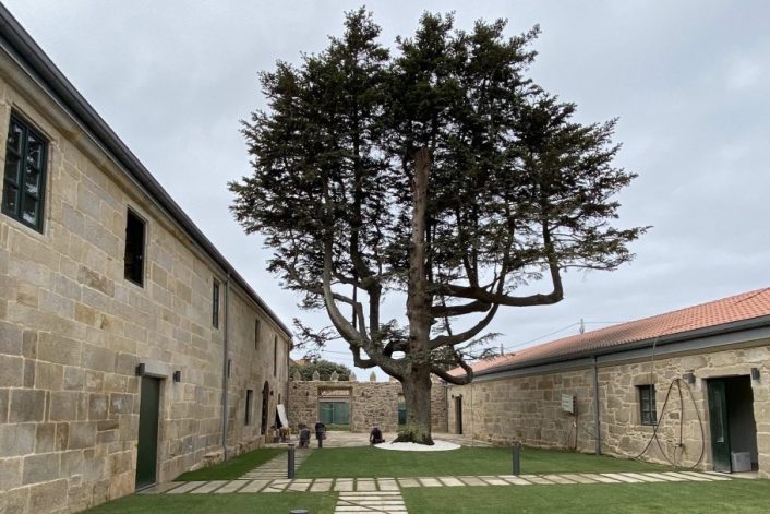 Campo pazo quintans 0