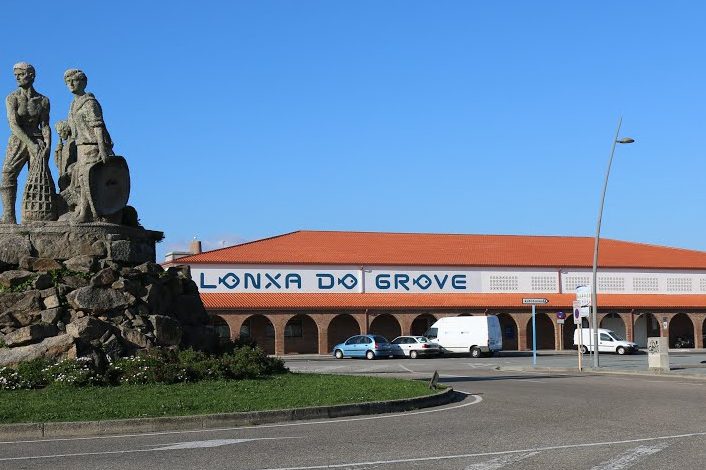 Ceramica campo lonxa grove 1