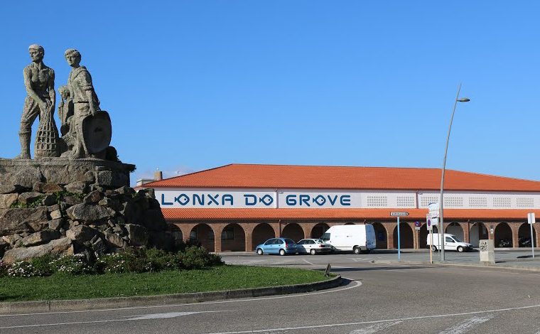 Ceramica campo lonxa grove 1